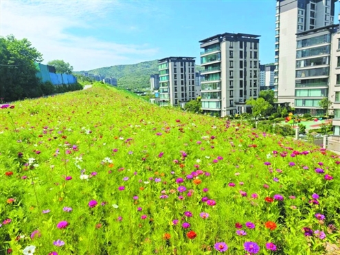 舜华路街道打造“转角见绿、移步有景、文明时尚”的公园城市